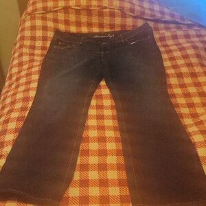 American Eagle Outfitters Dark Blue Flare Jeans